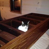 Monik Fraser's photo