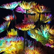 Trillina Palemi's photo