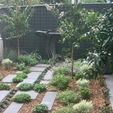 Norwood | Front Garden