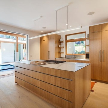 home remodeling in brooks av venice (kitchen)