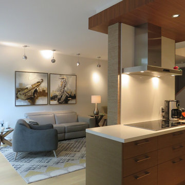Oakland Condo Renovation