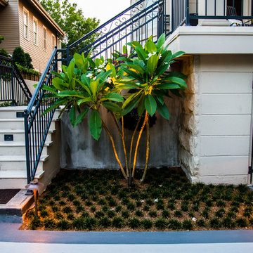 Uptown Contemporary Residence/Tortoise Habitat