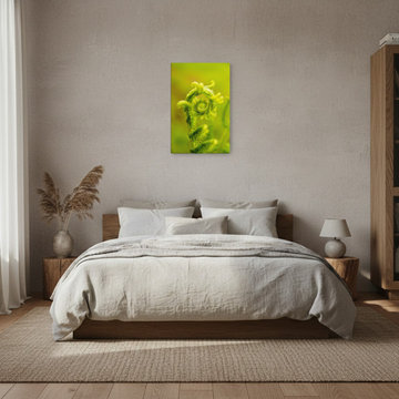 Nature's Perfection Wabi-Sabi Style Wall Art Prints