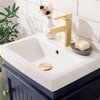 Legion Furniture Dawson Single Sink Vanity, Blue, 18"