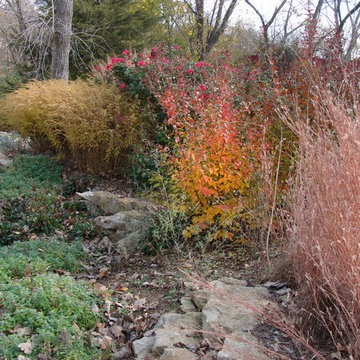 Low Maintenance Landscape Design