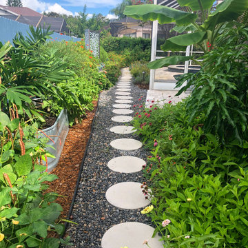 Growing Vibrant Colorful Veggies/ Raised Beds