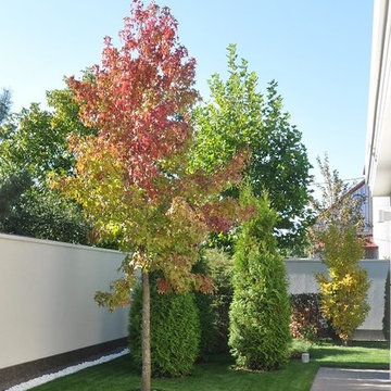 Private modern garden / Частный современный сад.