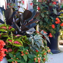 outdoor gardens