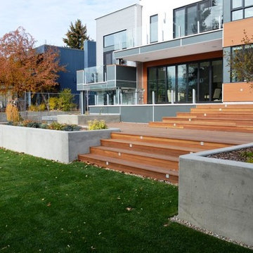 A new house in an older yard