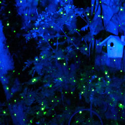 Laser Christmas Lights - Products