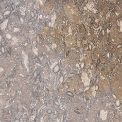 Oceanic Marble - Wall And Floor Tile