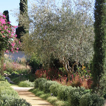 LGC-Landscape