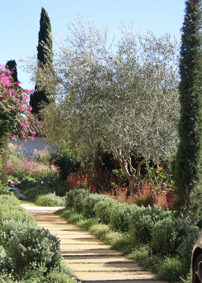 Средиземноморский Сад by Riviera Gardens