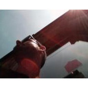 Andrew McKechnie's photo