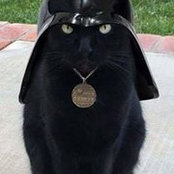 Susanne Colbert-foote's photo