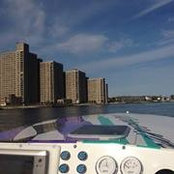 Steve Gorman's photo