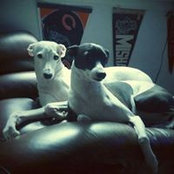 Ryon Sinkovics's photo