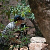 Toby Nicholls's photo