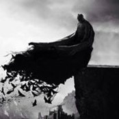 David Goode's photo