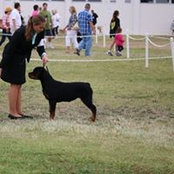 Foto de Ronnie Walker