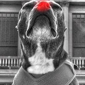 Carrel Regan's photo