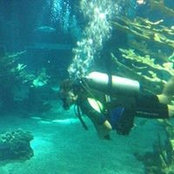 Dan Garcia's photo