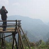 Anthony Green's photo