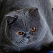 Martine Scodellaro's photo