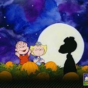 Sandra Pallante's photo