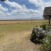 Wangui Muchiri's photo