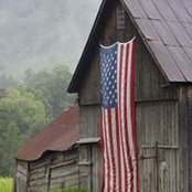 Kathy Forbes's photo