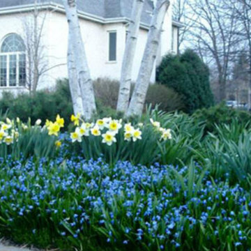 Landscape Design