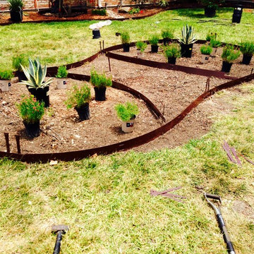 Xeriscape