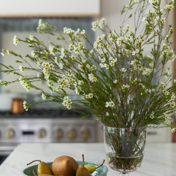 Traditional Kitchen Remodel