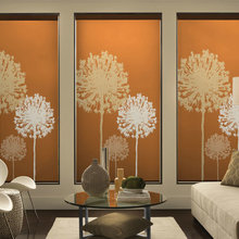 window treatments