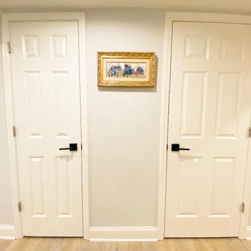 Basement Remodel
