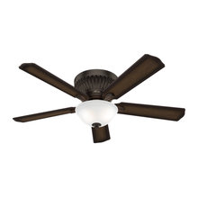 ceiling fans