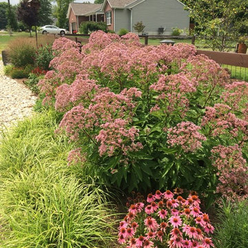 New Build Pollinator Front Yard