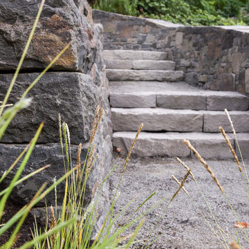 Willamette River View