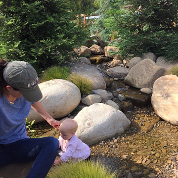 Creekside Farms / Front Yard Water Feature