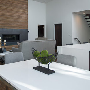 Hanging Cabinet Modern Living Room Houzz