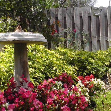 Florida Friendly Landscaping