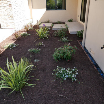 Los Altos new build