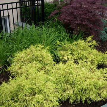 Flower/Planting Beds