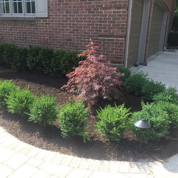 Rochester Hills Residence