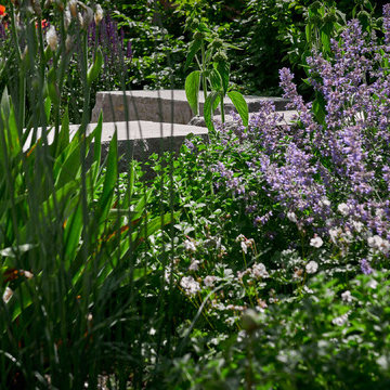 Garten 31 / 1
