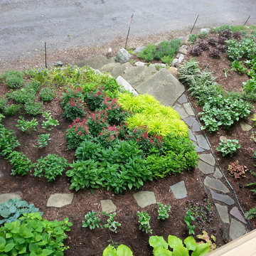 Duneside Shade Garden