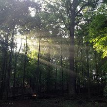 Inspiration:  My Pics