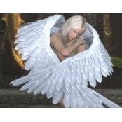 Debi Allard's photo