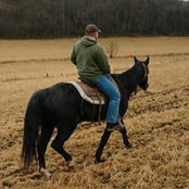 Chris Shope's photo